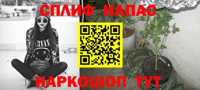 индика Апшеронск