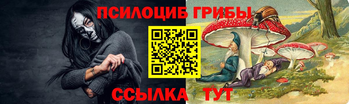 Псилоцибиновые грибы Psilocybe Большой Камень